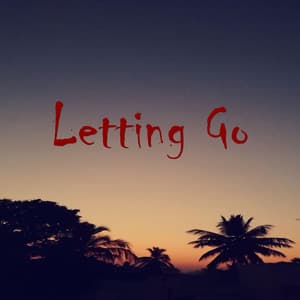 Letting Go - Lou-Fi