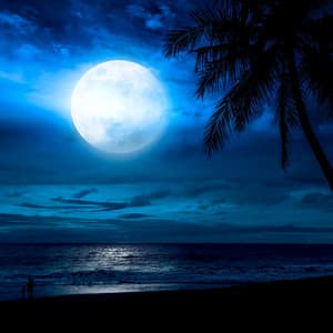 Night Serenity: Soft Music for Calming Evenings - Cooking And Baking