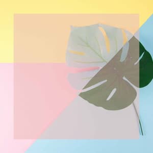 Music for Summer Keytones - Jazz Quintet - Playlist du Dîner