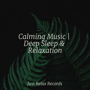 Calming Music | Deep Sleep & Relaxation - Massage Therapy Music