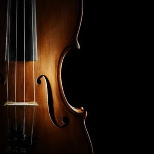 Dreamtime Orchestra: Gentle Night Melodies - Jose Garcia