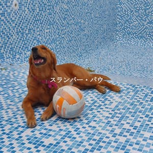 スランバー・パウ - Rilassante Jazz Musica