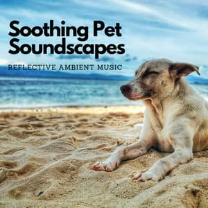 Soothing Pet Soundscapes: Reflective Ambient Music - Chill Playlist