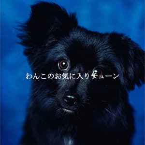 わんこのお気に入りチューン - Atmospheric Coffee House Music