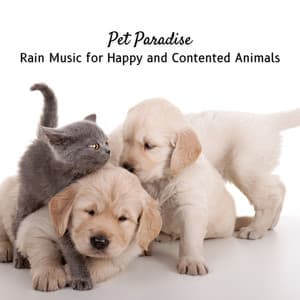 Pet Paradise: Rain Music for Happy and Contented Animals - Rain Sounds for Sleep Aid