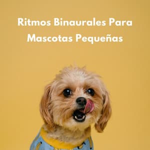 Ritmos Binaurales Para Mascotas Pequeñas - Estados de ánimo binaurales