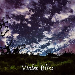 Violet Bliss - Tranquility Spree
