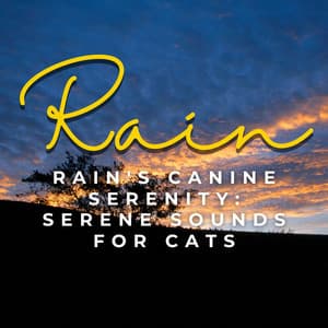 Rain's Feline Tranquility: Serene Sounds for Cats - Sounds of Rain White Noise Sleep