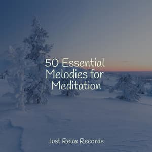 50 Essential Melodies for Meditation - Bedtime Baby