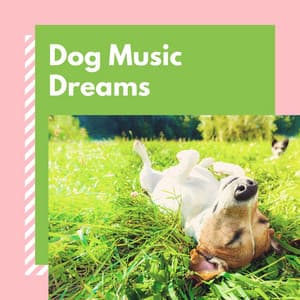 Dog Music Dreams: Soothing Music for Your Puppy - Dog Bedtime