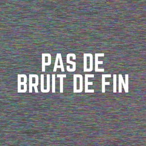 Pas de Bruit de Fin - Bruit Brun
