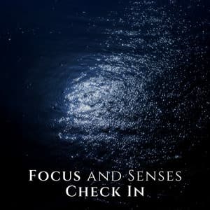 Focus and Senses Check In: Calming Bedtime Adventure, Deep Sleep Floating, Nightly Rejuvenation - Sleeping Music Zone