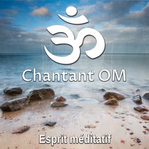 Chantant OM: Esprit méditatif - Séances de relaxation guidées extrêmement puissante, Son binaural, Ambiance de la nature, Musique modifiant ondes cérébrales procurant un état de bien-être - Club de Méditer et Détendre