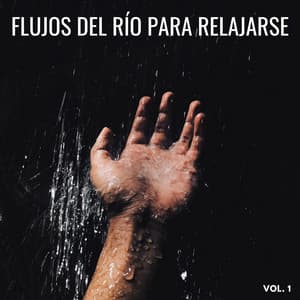 Flujos Del Río Para Relajarse Vol. 1 - Orquesta de las Naturalezas