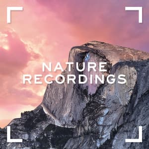 Nature Recordings - Nature Recordings