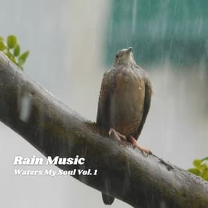 Rain Music: Waters My Soul Vol. 1 - Native American Nature
