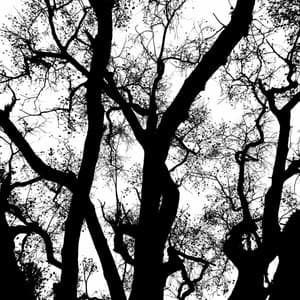 Backdrop for June and Chill - Chill Out - Música Alegre para Cafeterías