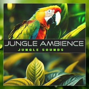 Jungle Ambience - Jungle Sounds