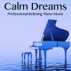 Calm Dreams - Deep Sleep Meditation