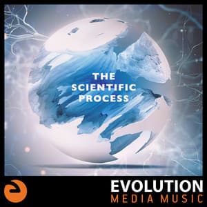 The Scientific Process - Jay Price