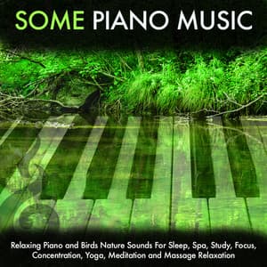 Some Piano Music: Relaxing Piano and Birds Nature Sounds For Sleep, Spa, Study, Focus, Concentration, Yoga, Meditation and Massage Relaxation - Some Music