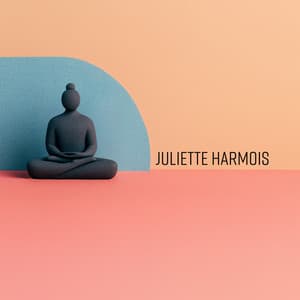 Pause consciente - Juliette Harmois