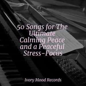 50 Songs for The Ultimate Calming Peace and a Peaceful Stress-Focus - Ivory Mood