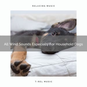 All Wind Sounds Especially For Household Dogs - Pets Relax