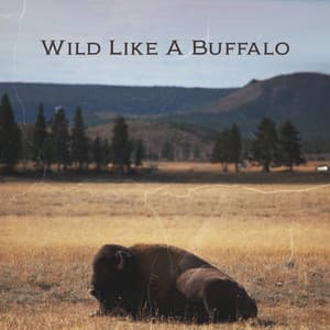 Wild Like A Buffalo - Eco Lyli