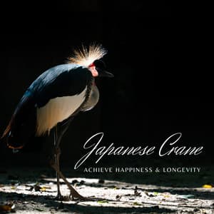 Japanese Crane: Achieve Happiness & Longevity - Jessica Shore