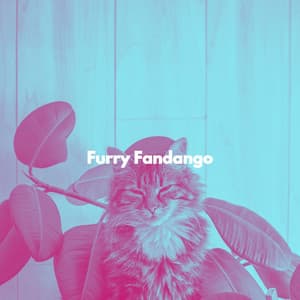 Furry Fandango - Cat Music Therapy