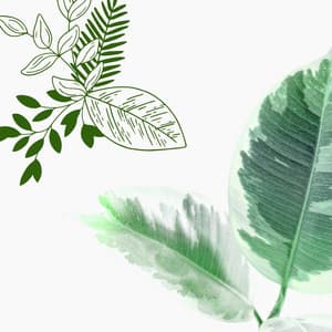 Extraordinary Trumpet Bossa - Background for October Heaven - Relaxing Jazz Cafe