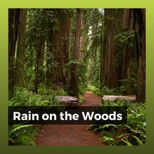 Rain on the Woods - Sonidos de la Naturaleza para Dormir