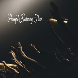 Peaceful Harmony Flow - Praise and Worship Orchestra