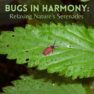 Bugs in Harmony: Relaxing Nature's Serenades - Plant Frequencies Universe