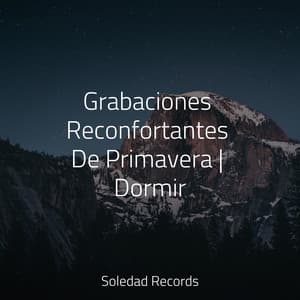 Grabaciones Reconfortantes De Primavera | Dormir - Musica para Dormir Dream House