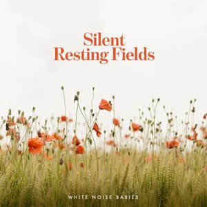 Silent Resting Fields - White Noise Babies