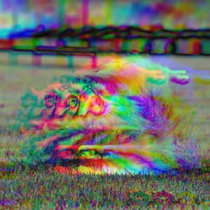 Feelings for Doggy Focus - Music for Pets Playlist