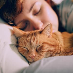 Armonía Para Mascotas: Música Relajante Para Compañeros - Música de fondo esencial para una cena