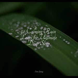 50 Calming Rain Loops for Ultimate Deep Sleep - Regen