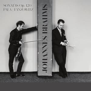 Johannes Brahms: Sonatas Op. 120 - Johannes Brahms