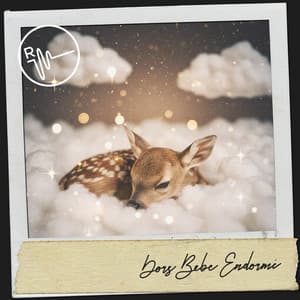 Dors Bébé Endormi: Suite Nocturne pour Bébé - Dog Relaxation