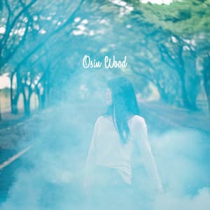 Weightless Aurora - Osin Wood