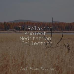 50 Relaxing Ambient Meditation Collection - Relaxation