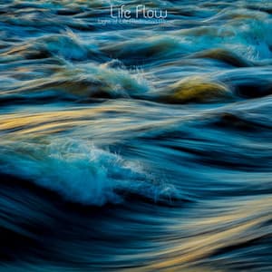 Life Flow - Light of Life Meditation Music