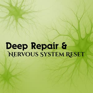 Deep Repair & Nervous System Reset - Lucas Deltaz