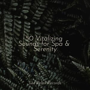 50 Vitalizing Sounds for Spa & Serenity - Relaxamento
