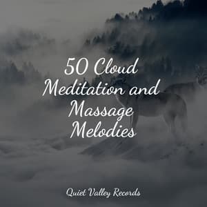 50 Cloud Meditation and Massage Melodies For Dogs - Sleeping Music For Dogs