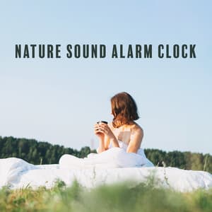 Nature Sound Alarm Clock: Sounds Collection for Wake Up, Peaceful Nature for Gentle Awakening - Motivation Songs Academy
