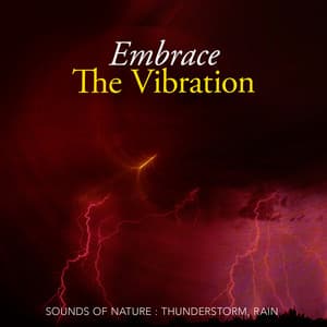 Embrace The Vibration - Sounds Of Nature : Thunderstorm, Rain